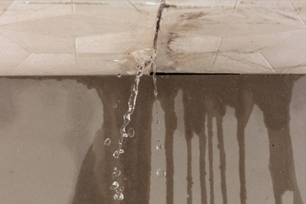 Professional Sewage Cleanup technician working in Kansas City, KS